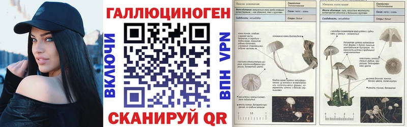 Галлюциногенные грибы мицелий  мега ONION  Копейск 